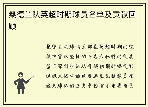 桑德兰队英超时期球员名单及贡献回顾